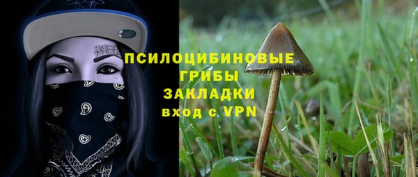 спиды Алзамай
